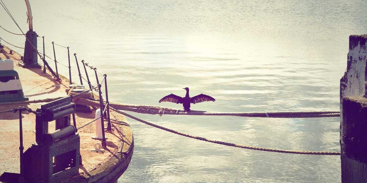 Top Electric Bikes: 2024 Guide