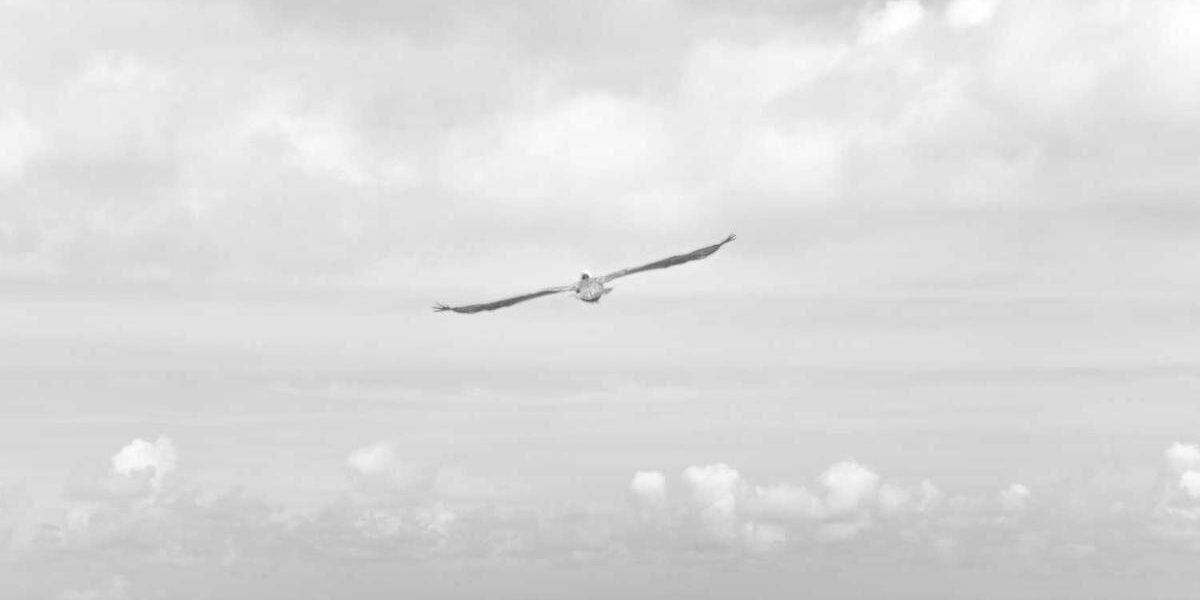 2024 Tour de France Route and Stage Details