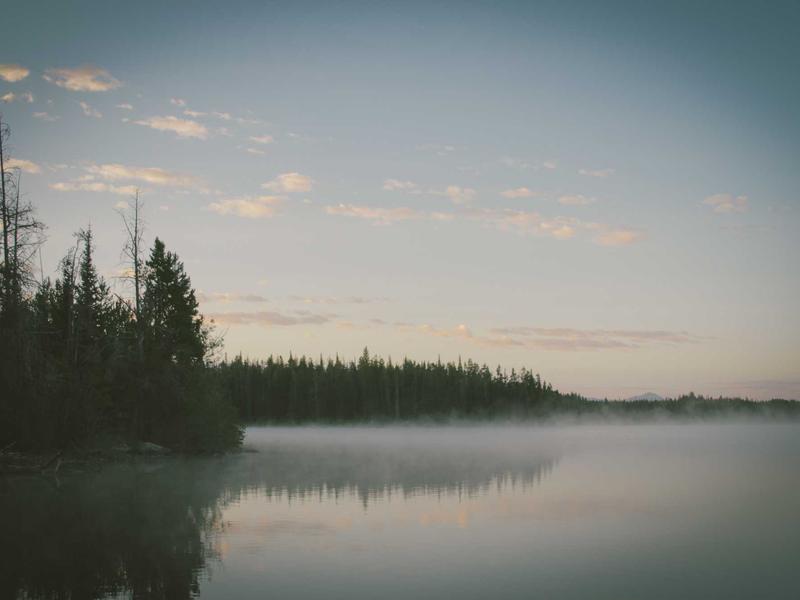 Post-Ride Protein Window